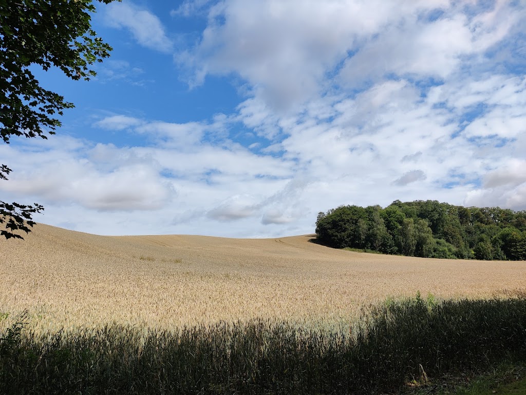 hildesborg-private-property-16.jpeg