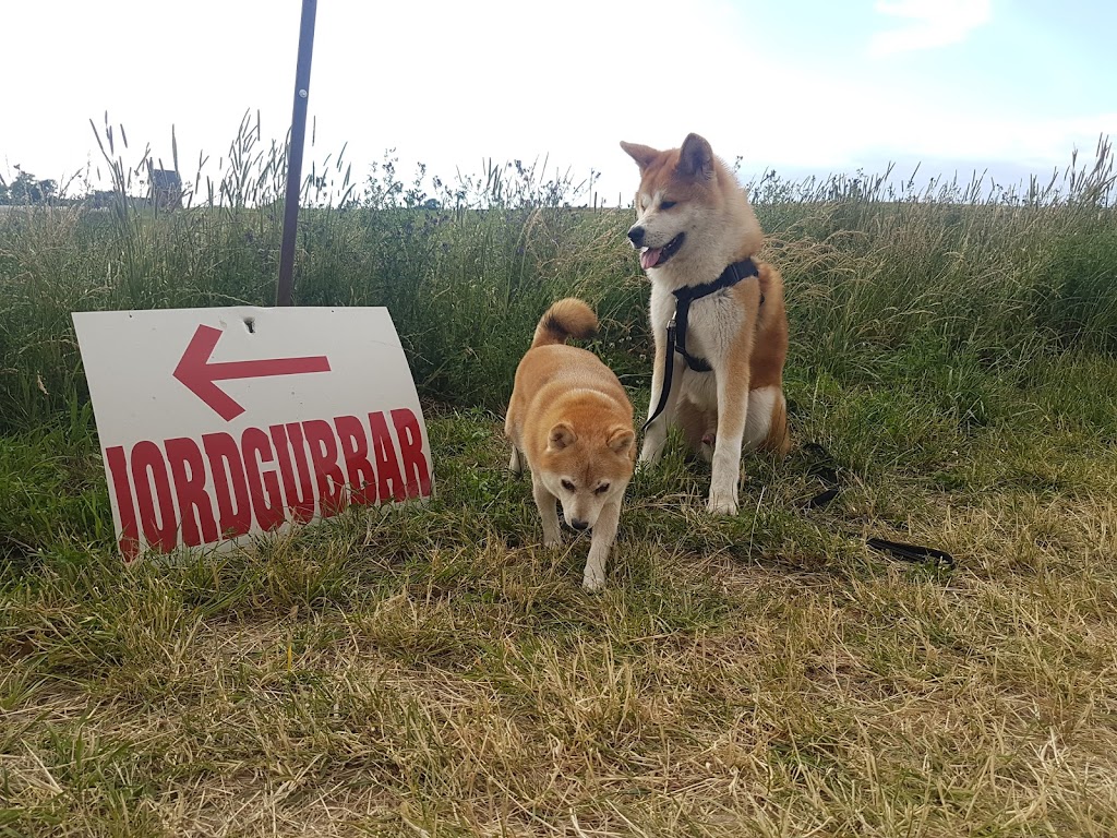 humlegardens-jordgubbar-sparris-11.jpeg