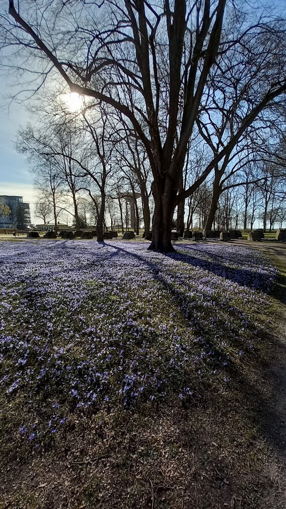 kaptensgardens-skulpturpark-16.jpeg