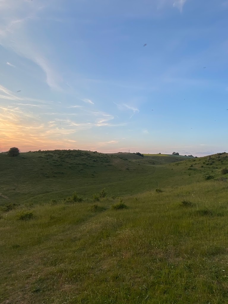 lagerplats-lill-olas-11.jpeg