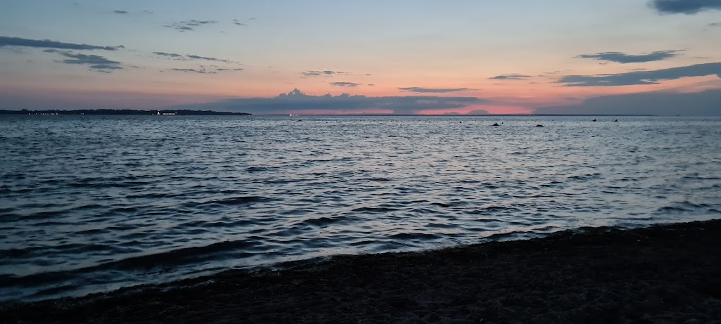lagerplats-lill-olas-7.jpeg