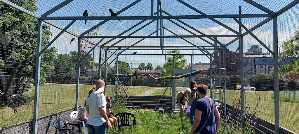 landskrona-bird-yard-2.jpeg