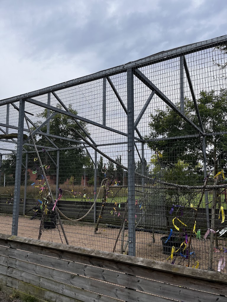 landskrona-bird-yard-4.jpeg