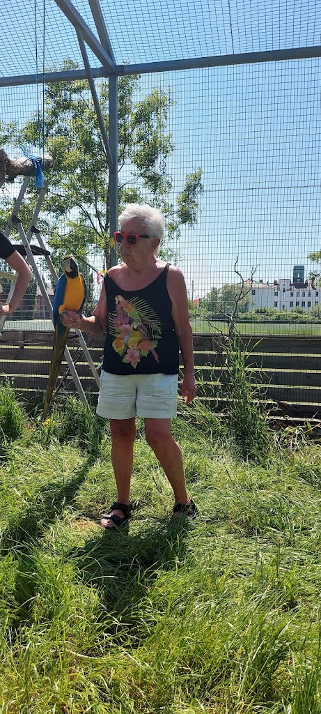 landskrona-bird-yard-7.jpeg