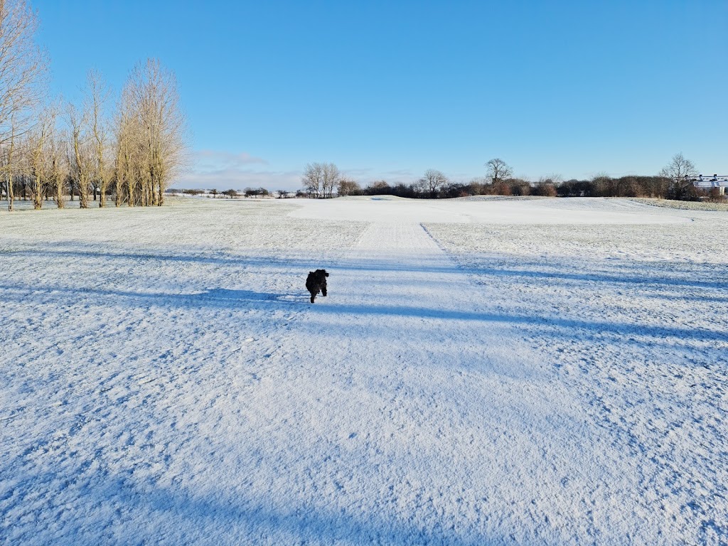 landskrona-golf-club-7.jpeg