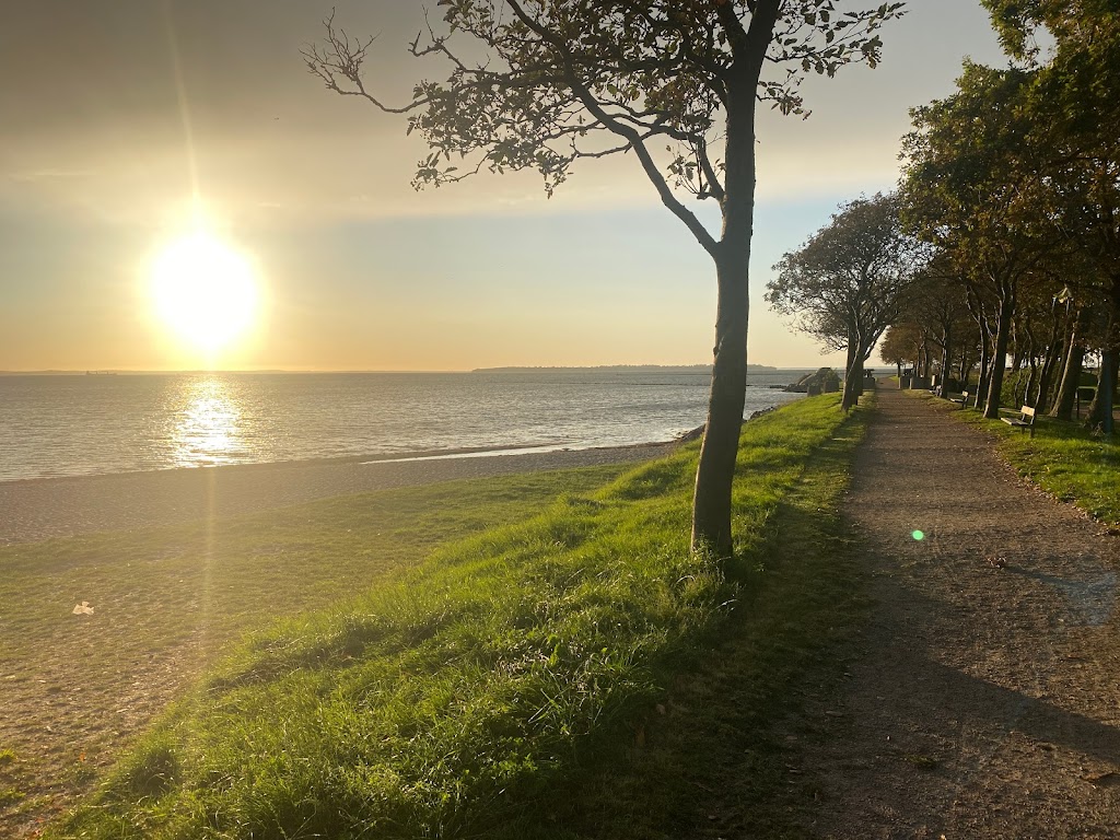 parking-landskrona-citadell-5.jpeg