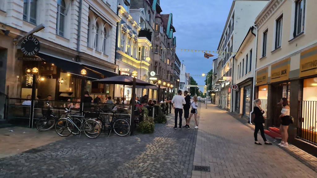 restaurang-tycho-brahe-18.jpeg