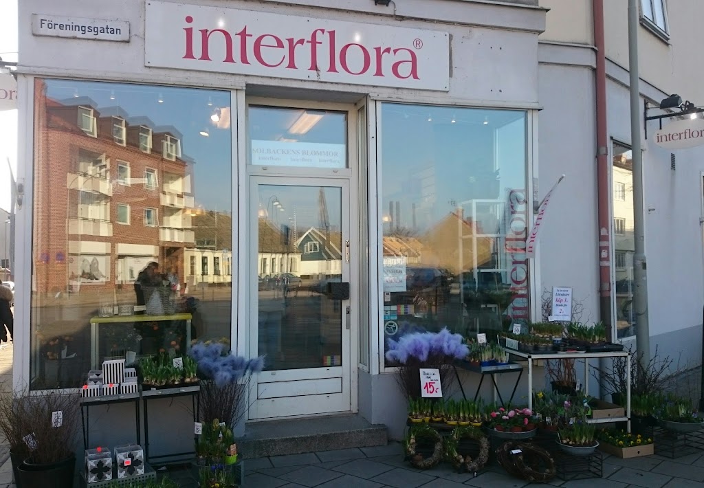 solbackens-blommor-0.jpeg