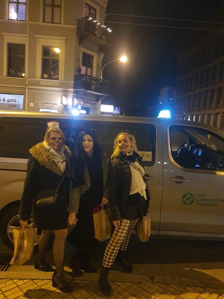 taxi-landskrona-trafiken-ab-8.jpeg