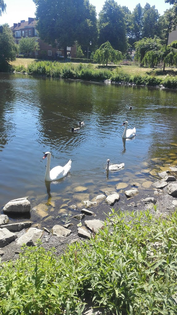 wrangelska-parken-0.jpeg