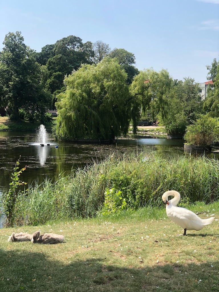 wrangelska-parken-14.jpeg