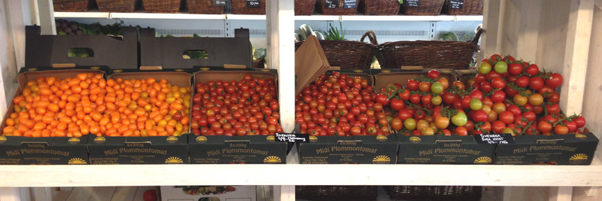 frukthandlarn-pa-limhamn-13.jpeg
