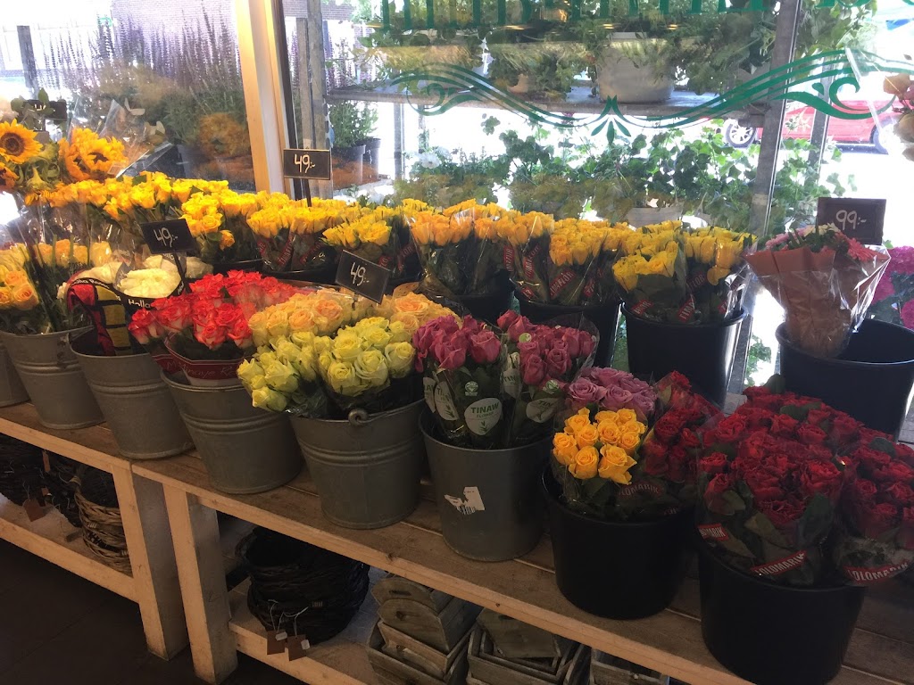frukthandlarn-pa-limhamn-5.jpeg