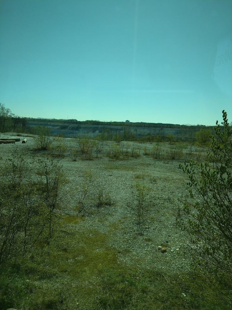 hammars-park-17.jpeg