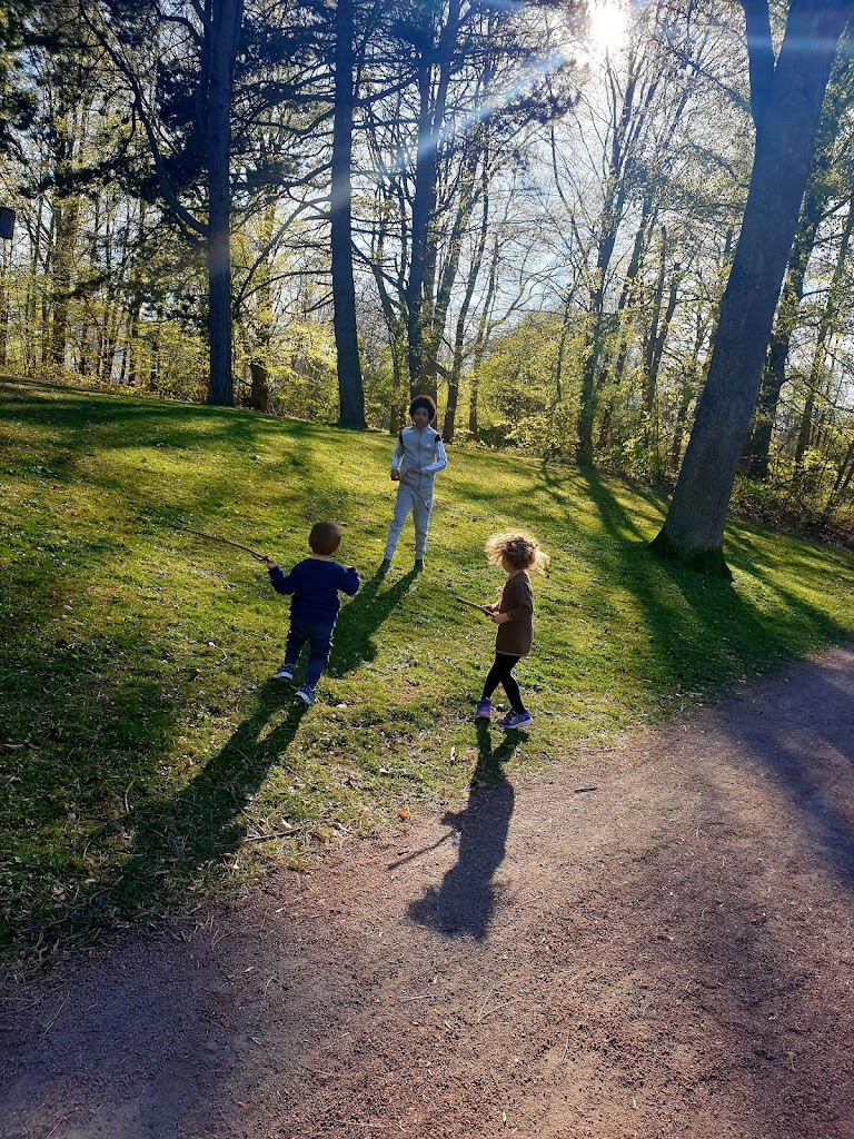 hammars-park-9.jpeg
