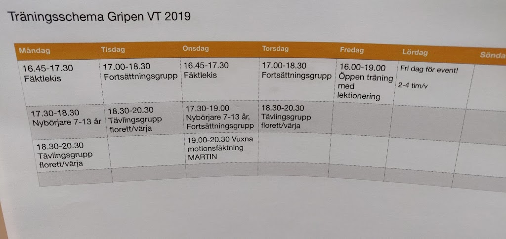 malmo-faktforening-gripen-1.jpeg