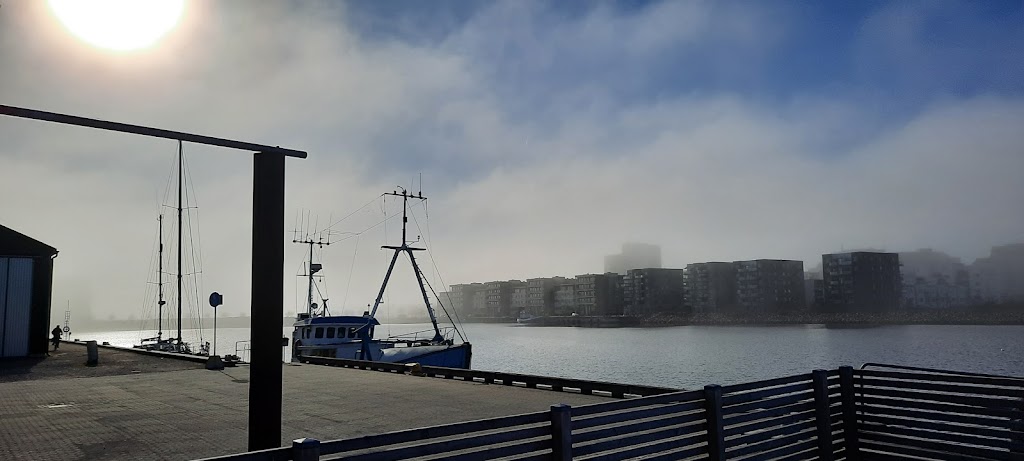 malmo-sjoscoutkar-3.jpeg