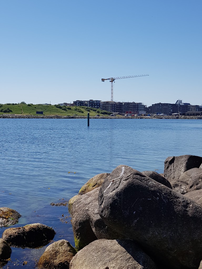 oresundsfiske-11.jpeg