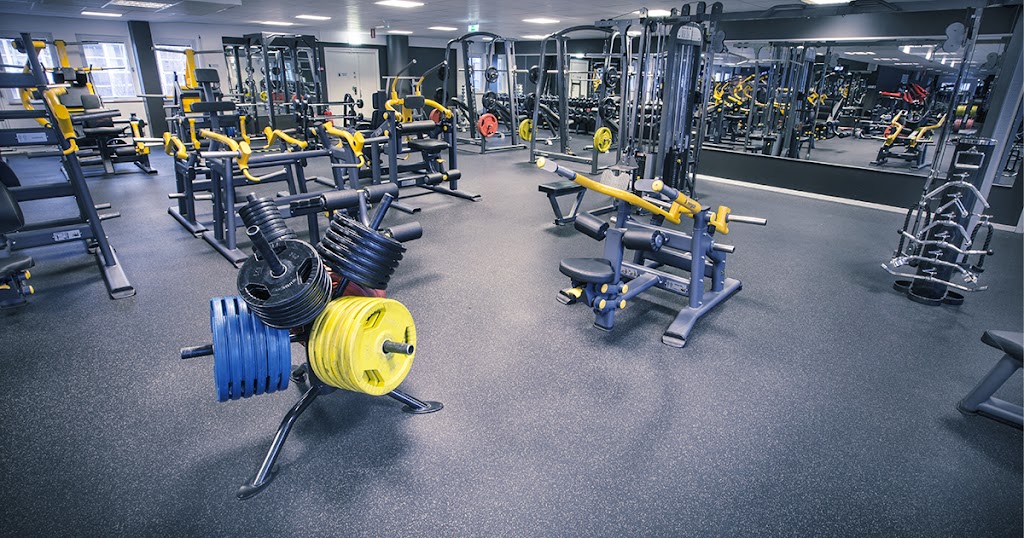 the-raw-gym-2.jpeg