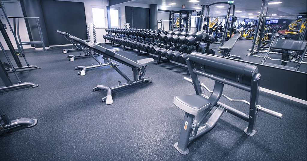 the-raw-gym-5.jpeg