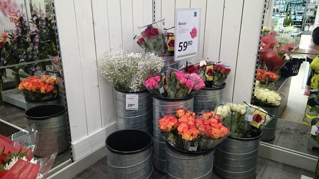 blomsterlandet-loddekopinge-17.jpeg