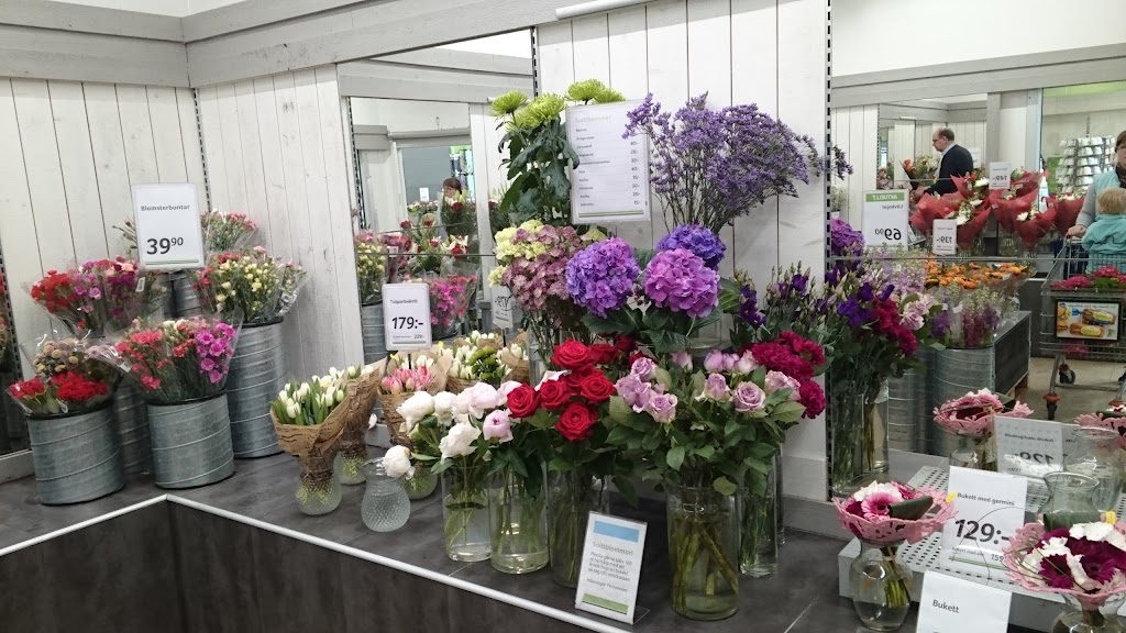 blomsterlandet-loddekopinge-5.jpeg