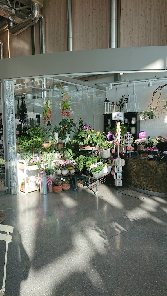 center-syd-blommor-0.jpeg