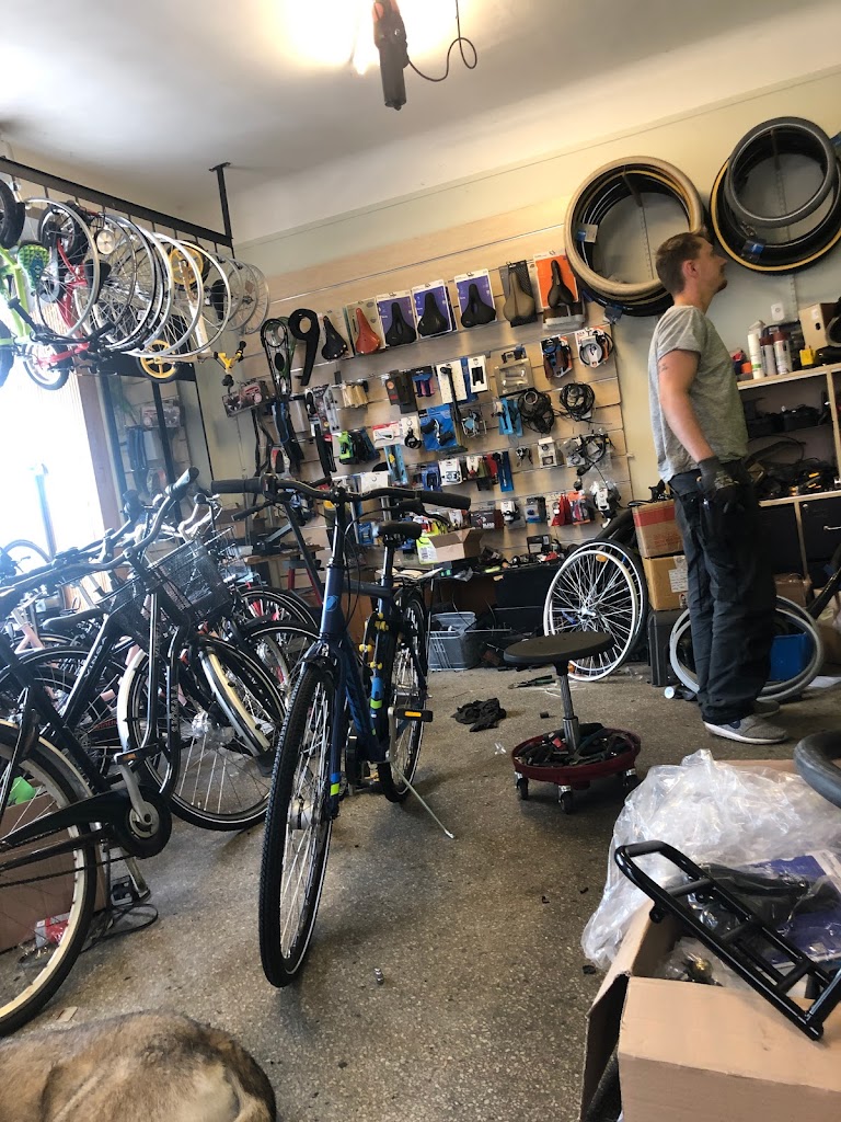 abrahams-cykel-5.jpeg