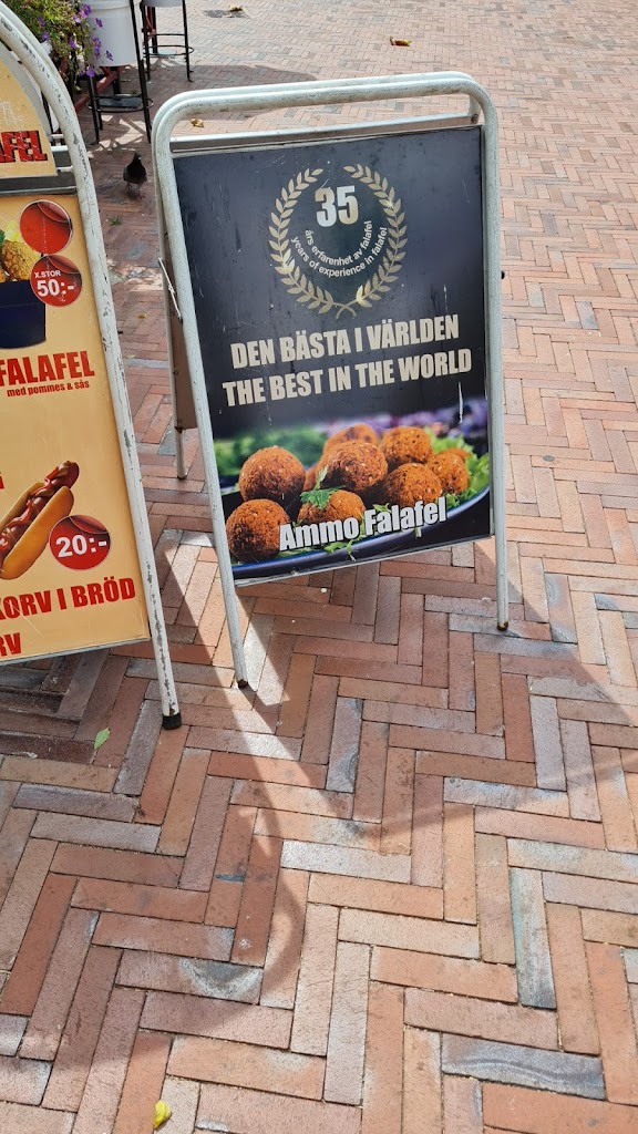 ammo-falafel-5.jpeg