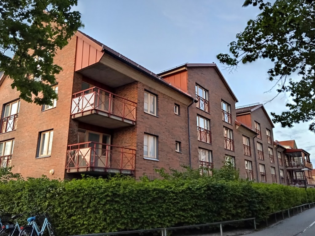 basunen-aldreboende-0.jpeg