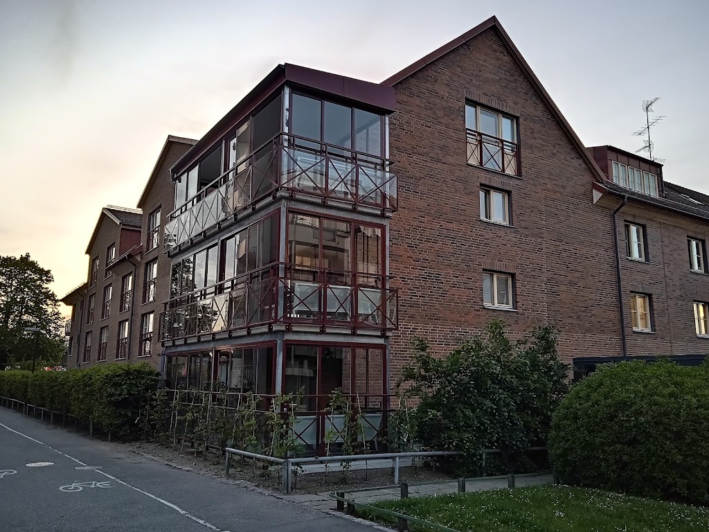 basunen-aldreboende-3.jpeg
