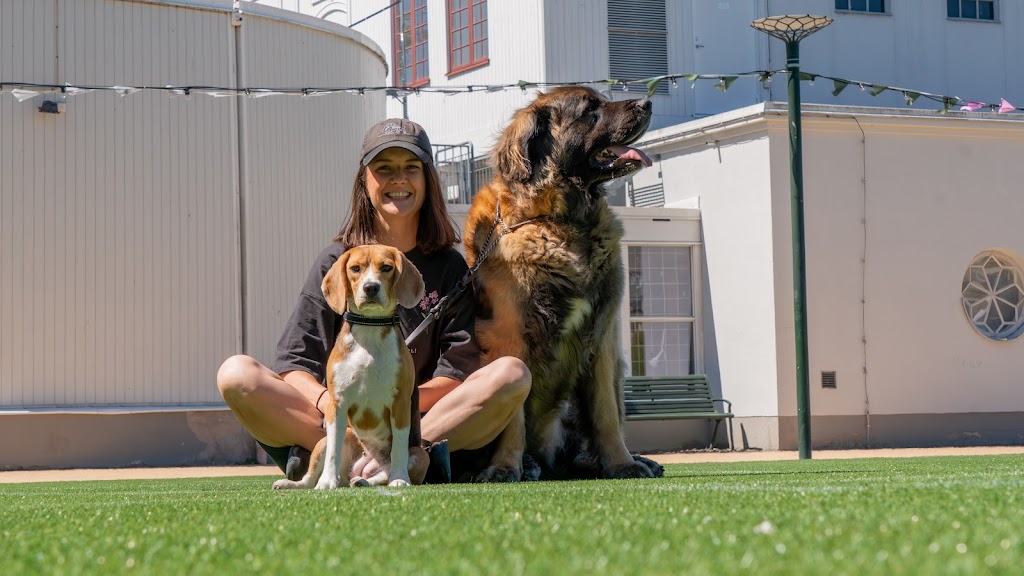 beatrice-k9-dog-behavior-and-daycare-9.jpeg