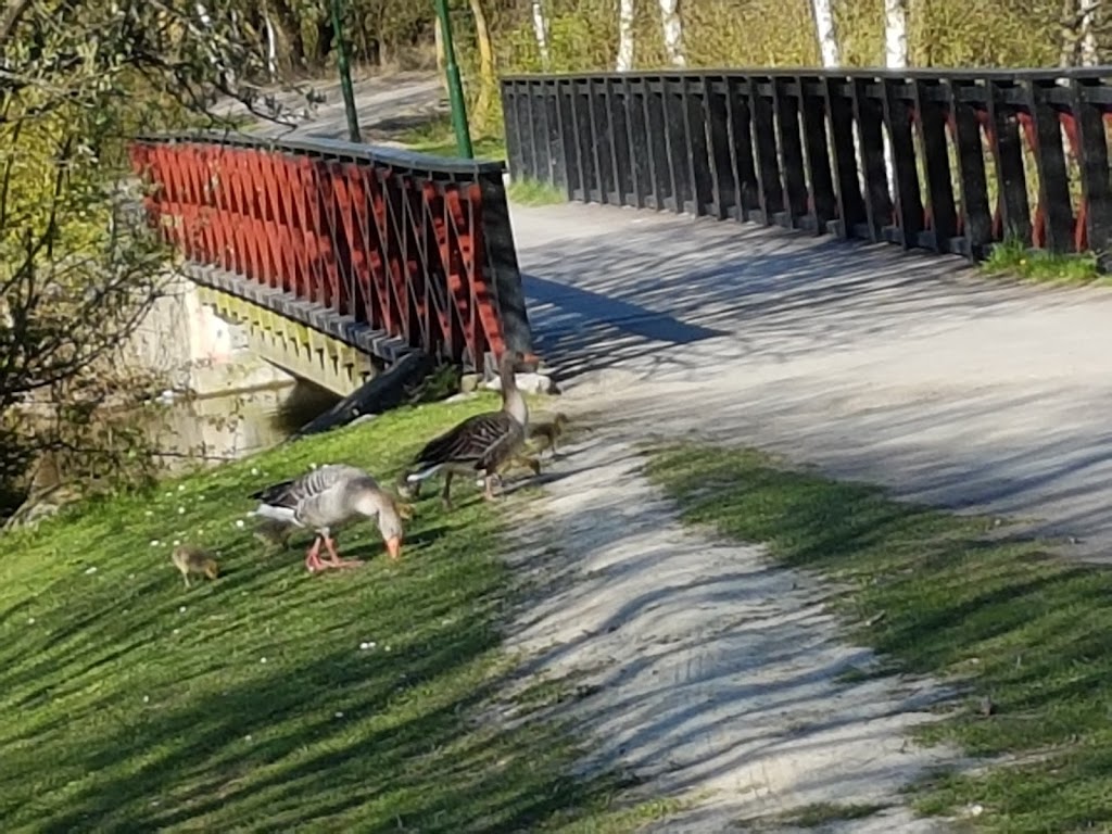 bulltofta-park-16.jpeg