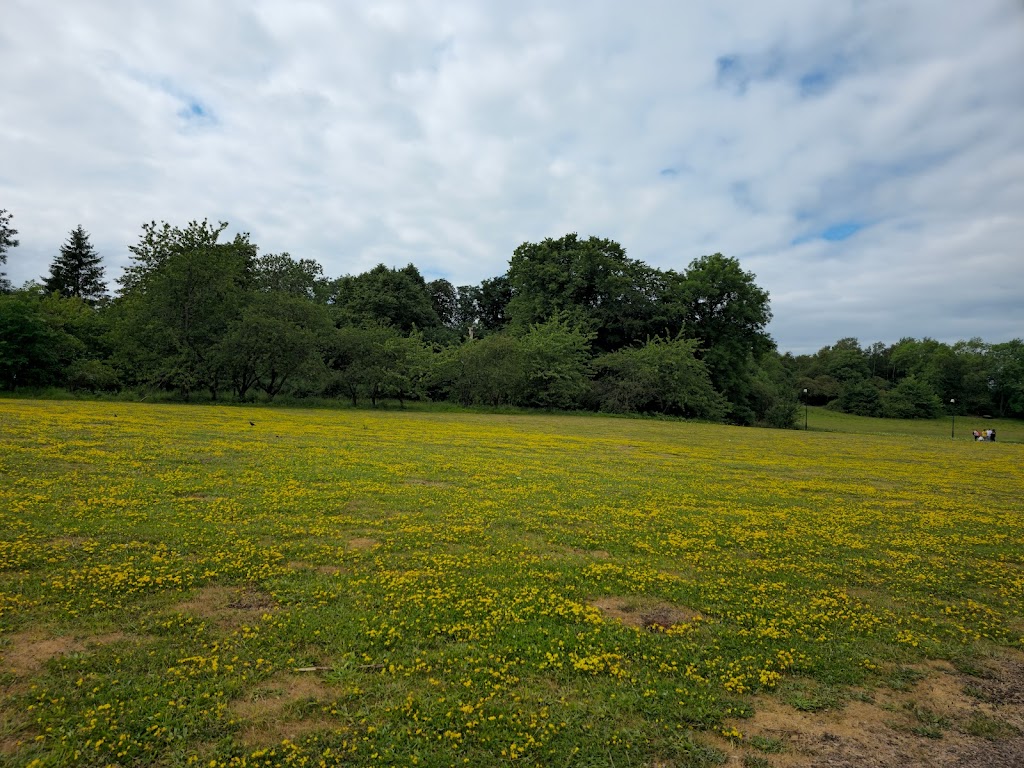 bulltofta-park-2.jpeg
