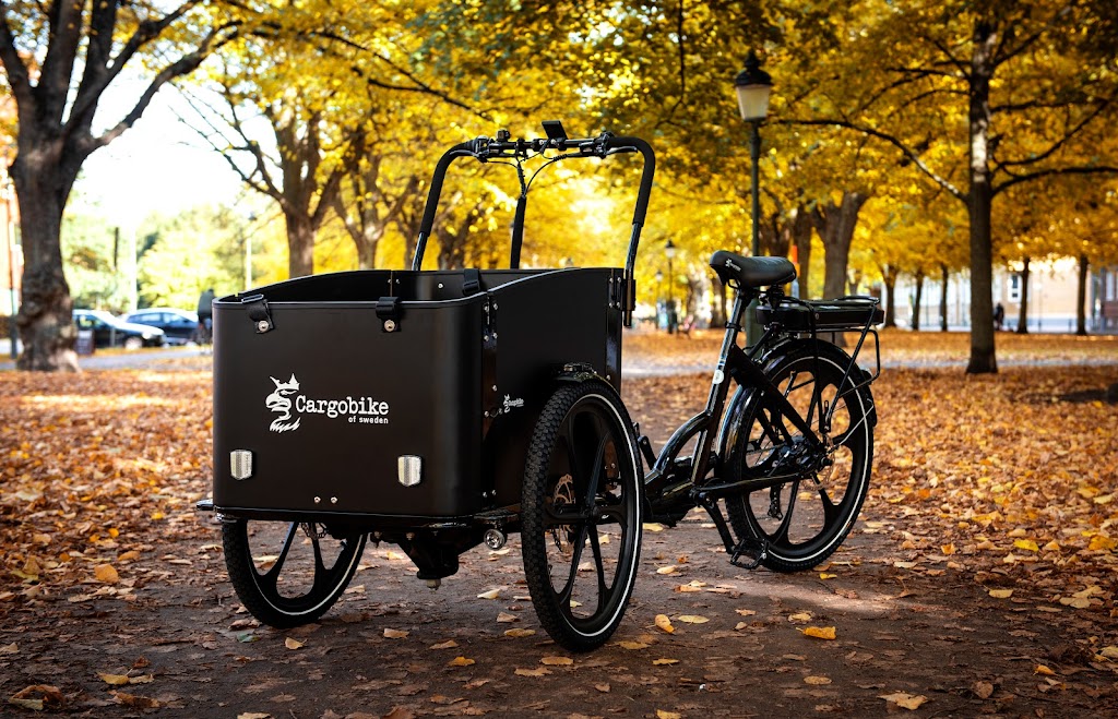 cargo-bike-ab-0.jpeg