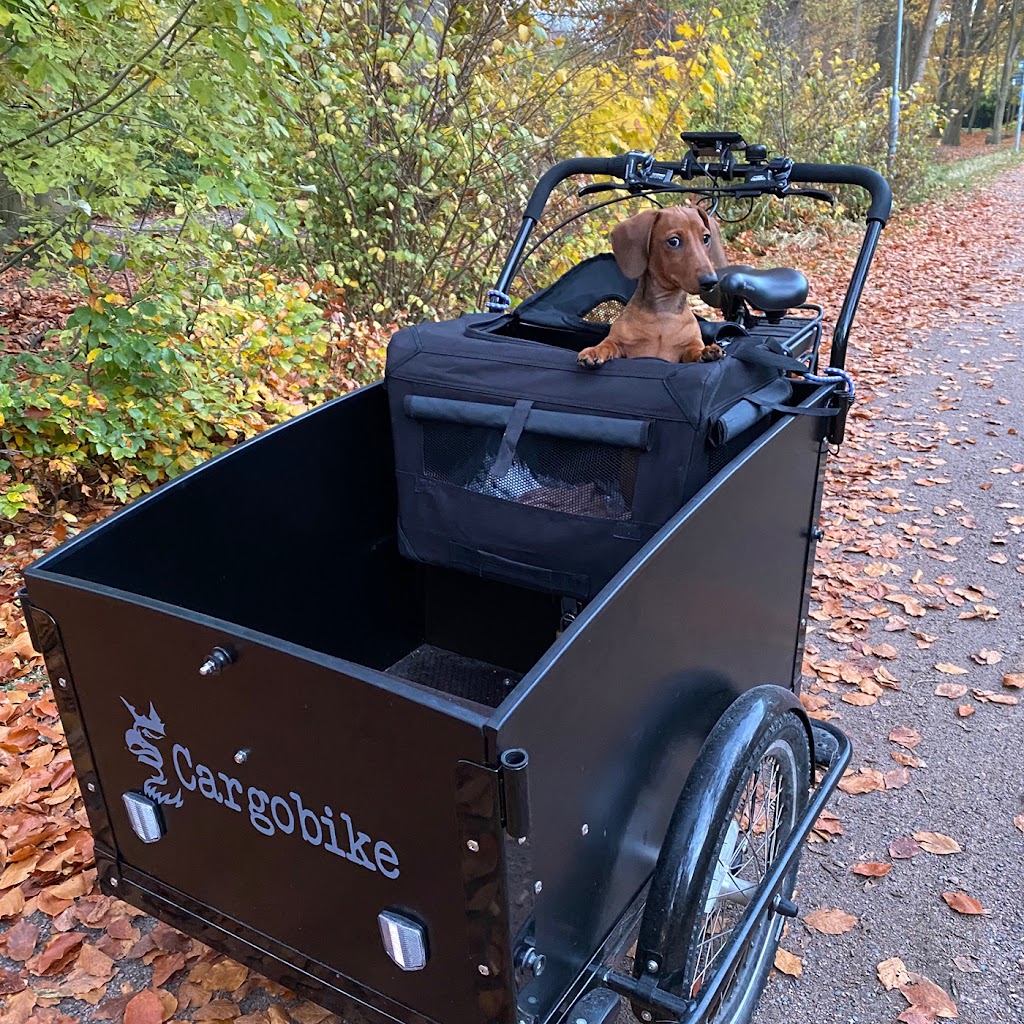 cargo-bike-ab-14.jpeg