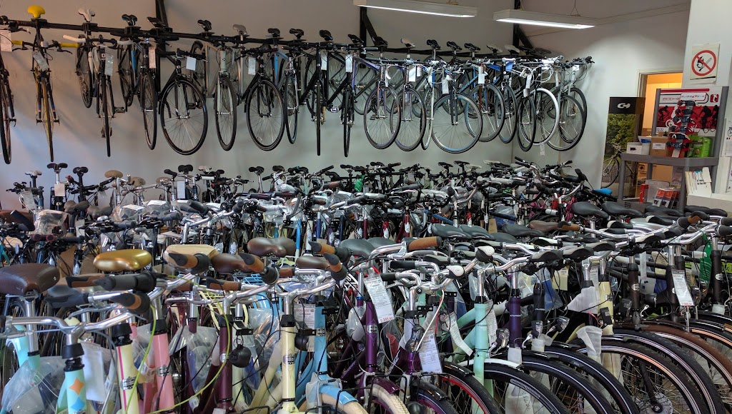 caroli-cykel-1.jpeg