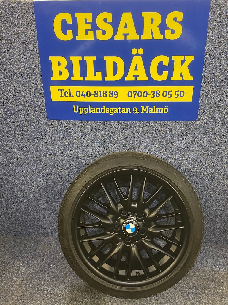 cesars-bilvard-dack-14.jpeg