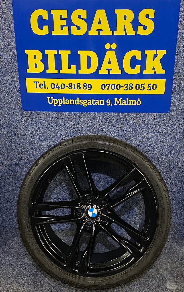 cesars-bilvard-dack-15.jpeg