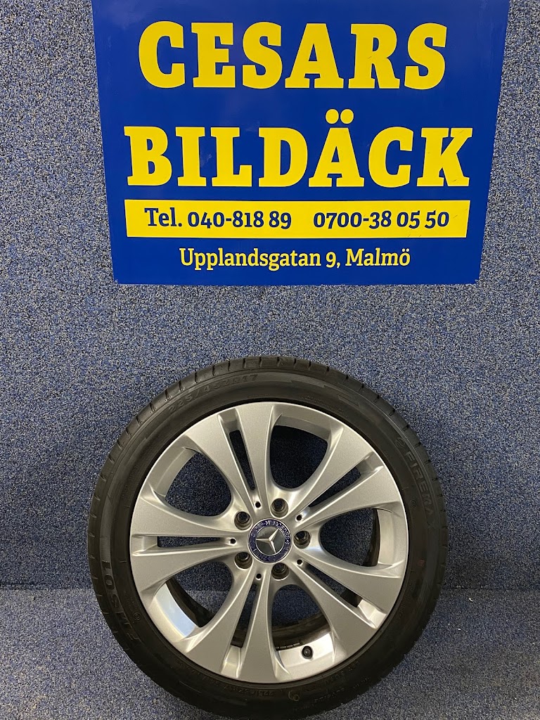 cesars-bilvard-dack-16.jpeg