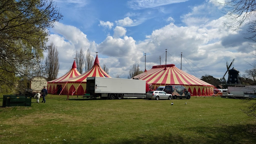 cirkus-brazil-jack-0.jpeg