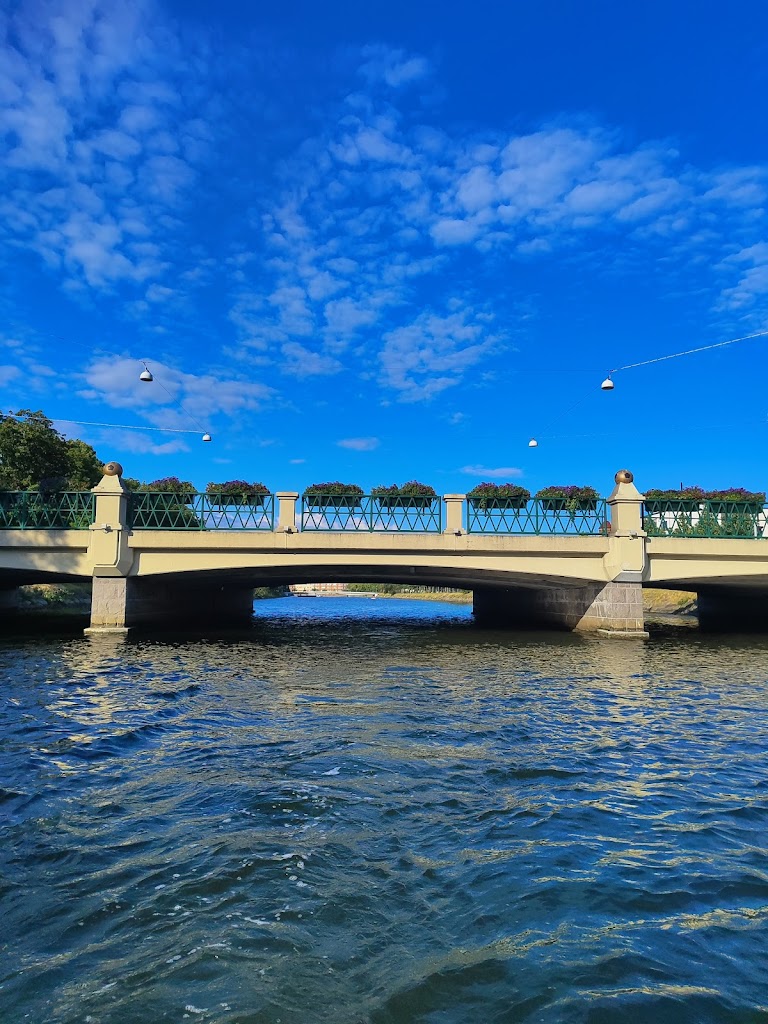 cityboats-trampbatar-5.jpeg