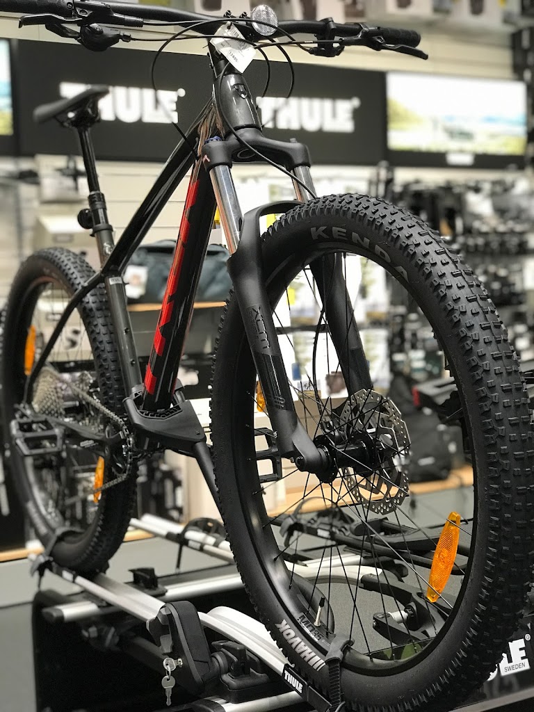 cykelgiganten-malmo-1.jpeg