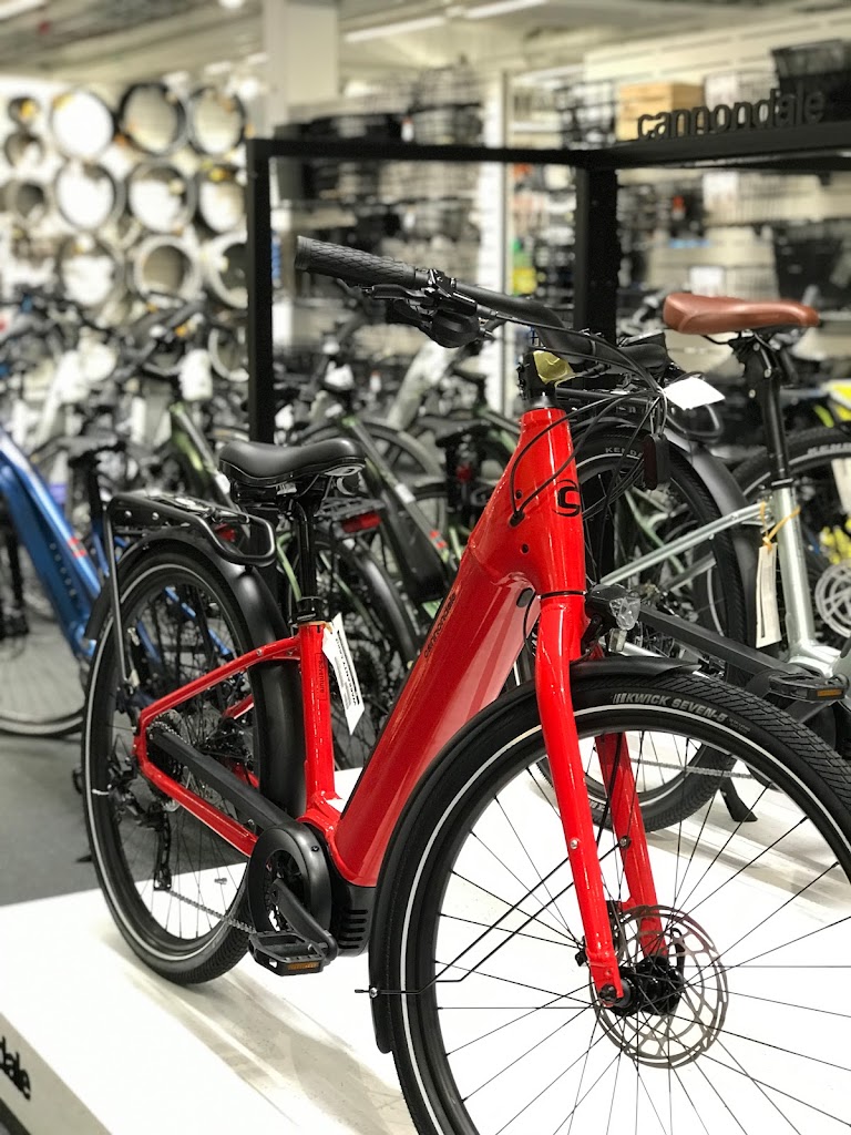cykelgiganten-malmo-2.jpeg