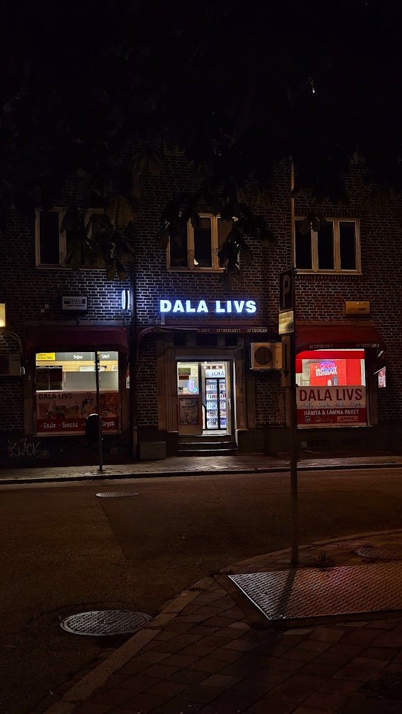 dala-livs-3.jpeg