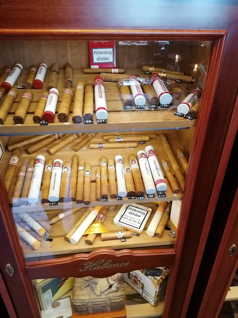 den-ansprakslosa-cigarraffaren-7.jpeg