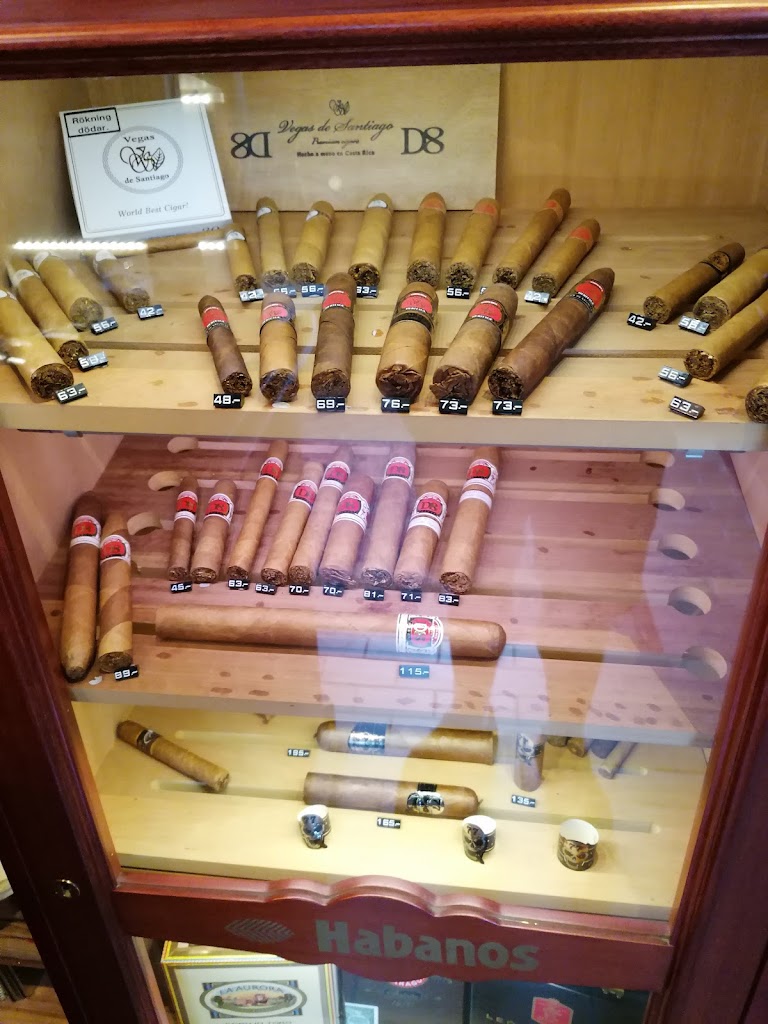 den-ansprakslosa-cigarraffaren-8.jpeg
