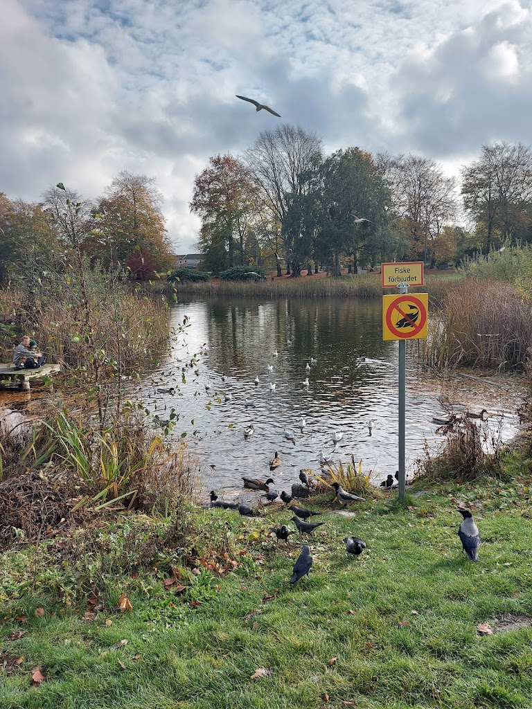 djurlekplatsen-10.jpeg