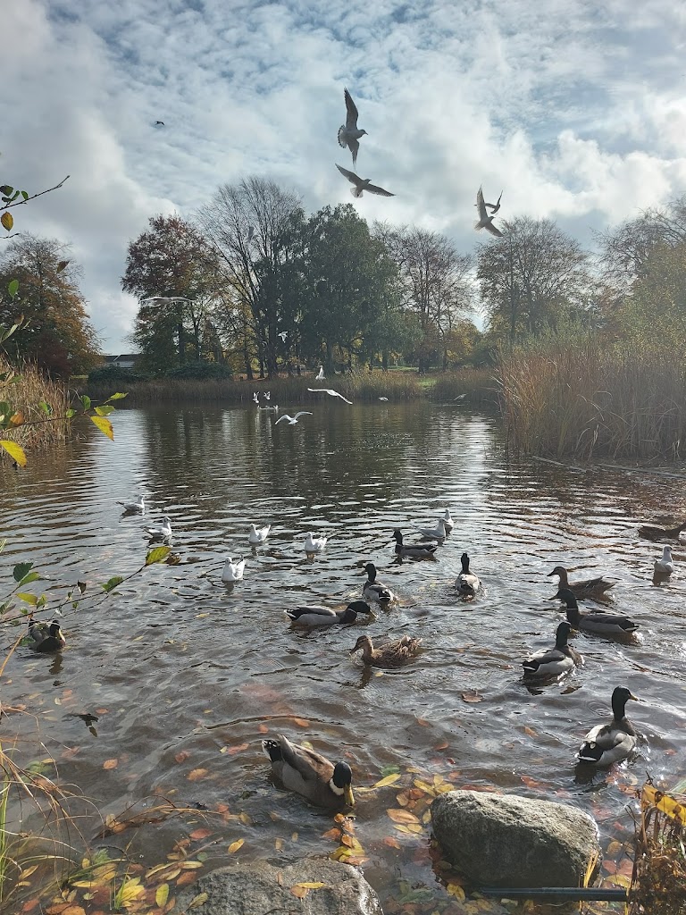 djurlekplatsen-14.jpeg