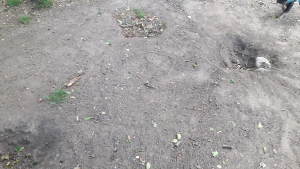 dog-park-vendelsfrid-park-15.jpeg
